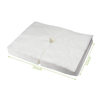 Draps de table de massage jetables Coussinets d'appui-tête Taie d'oreiller pour le visage Housse de coussin Table de berceau de massage pour le visage Couvertures d'appui-tête