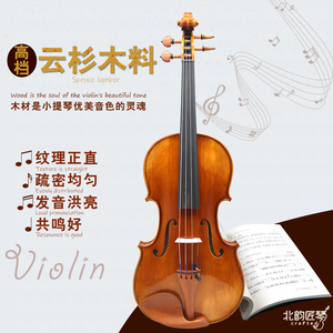 Violon d'étude CHENTUO CT3.5 le plus vendu, fait main, en épicéa massif, dos en érable, ébène, pour débutants, en fibre de carbone, fabriqué en Chine - Product Image 5