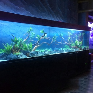 Groot Gebogen Transparant Acryl Aquarium <span class=keywords><strong>Canada</strong></span> 40Mm 50Mm 70Mm Acryl Aquarium Tank Zoutwater Acryl - Product Image 6