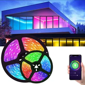 Wholesale Amazon TUYA WIfi Color Changing Flex Smart Lamp RGBW CCT RGB LED Strip Light