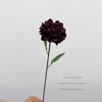 Bunga Dahlia Sutra Sentuhan Asli Buatan Tangan Realistis Tahan Air Multiwarna Dekorasi Pernikahan Rumah