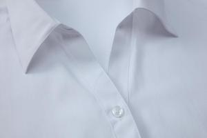 Chemises d'été formelles en coton pour hommes et femmes, à manches longues, coupe moderne, disponibles en tailles 2XL-4XL, style uniforme, logo personnalisé - Product Image 6
