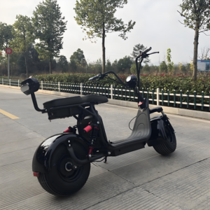 Leoncitycoco Scooter gyroscopique à deux roues Scooter électrique 800W Scooter Citycoco - Product Image 2