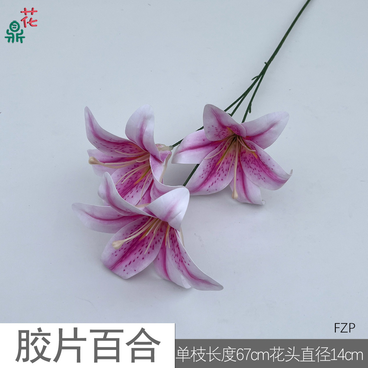 Film Lily FZP Rose