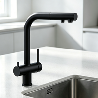 Robinet de cuisine d'hôtel noir mat à double poignée, avec filtre à eau, valve en céramique, corps en laiton rotatif, bec extractible