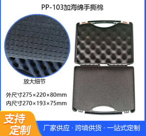 Maletín de Plástico Pequeño de Alta Calidad DF PP101 102 103 2L 2.5L 3L, Caja de Herramientas Rígida Negra con Espuma Personalizada - Product Image 3