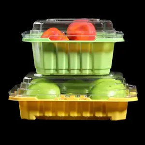 Clear Disposable PET Plastic Packaging Box With Lid Recycled Food Grade Fruit Vegetable Mushroom Packaging Container