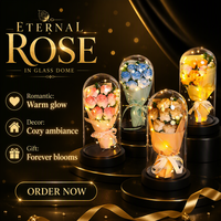 Rose éternelle sous cloche en verre avec LED, cadeau romantique pour la Saint-Valentin, vente chaude 2026, directement de l'usine