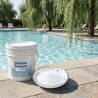 E20260807 Granulés de qualité supérieure à dissolution progressive pour piscines commerciales