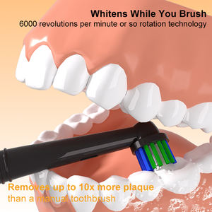 Nuovo portatile Ipx7 impermeabile testa rotonda adulto spazzolino elettrico rotante compatibile con <span class=keywords><strong>B</strong></span> orale - Product Image 3