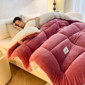 Giá Tốt Nhất Sang Trọng Mô Hình Polyester Comforter Ấm Mềm Mùa Đông Dày Giường Chăn Chăn Chăn - Product Image 1