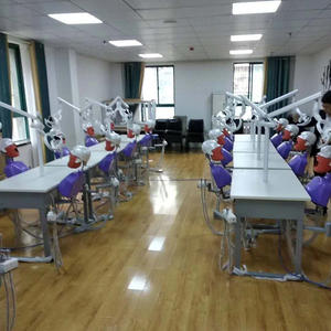 C1 denti dentali modello di simulazione modello di testa odontoiatria manichino testa fantasma Sennior con Torso per insegnamento orale dentale <span class=keywords><strong>Phantom</strong></span> - Product Image 3