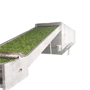 Otomatik Plc cihazı kemer tipi zeytin yaprakları limon muz kurutma makinesi Moringa yaprak kabayonca saman yem kurutma ekipmanları