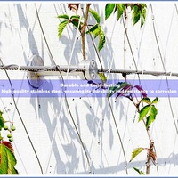 Vente en gros de treillis métallique tissé flexible pour plantes grimpantes en acier inoxydable 304/316L pour le soudage de jardin vertical inclus