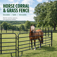 Panneaux de clôture pour pâturages de bétail, en acier inoxydable galvanisé, anti-corrosion, clôture de sécurité pour chevaux, treillis, portails