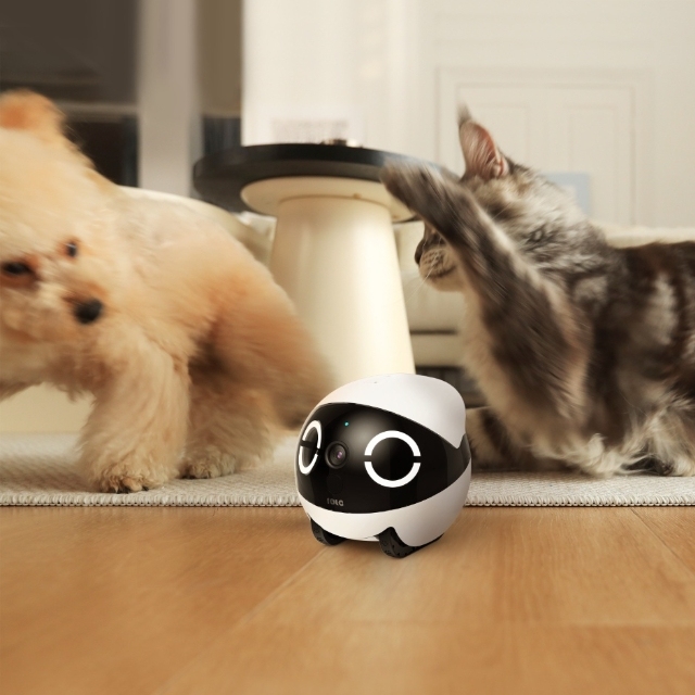 4G Wifi Pet Companion Robot Toy With Camera Cat Dog Smart Toy Pet Camera