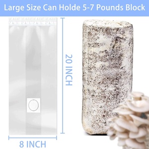 Sac de culture de champignons Shiitake <span class=keywords><strong>Kit</strong></span> de culture de champignons pour les ventes de l'usine - Product Image 4