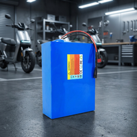 Stock UE - Batteries lithium-ion 72V 20Ah-100Ah pour outils électriques, systèmes solaires domestiques et véhicules électriques - Idéales pour les vélos électriques