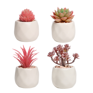 OFFERTA SPECIALE Set di 4 Piccoli <span class=keywords><strong>Fiori</strong></span> Artificiali di Succulente <span class=keywords><strong>Rosa</strong></span> in Vaso di Ceramica Bianca con Materiale PE per Decorazione Ufficio - Product Image 1