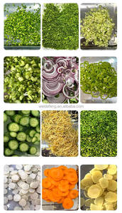 Coupe-légumes et fruits direct usine, trancheuse <span class=keywords><strong>rapide</strong></span>, déchiqueteuse d'oignons verts en acier inoxydable pour usine de transformation - Product Image 6