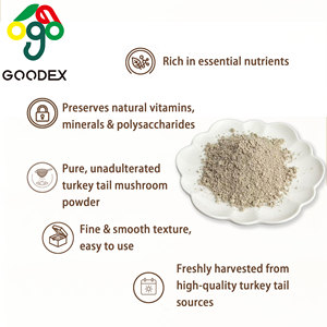 ผงสกัดเห็ดหางไก่งวงป่า GOODEX ผสมวิตามิน บรรจุภัณฑ์แบบดรัมสุญญากาศ จากโรงงานโดยตรง - Product Image 4