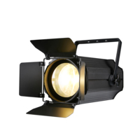 Projecteur LED 2 en 1 200W, lumière de scène DJ personnalisée en aluminium Cob Blinder, émission blanc chaud