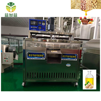 Torréfacteur de graines en acier inoxydable 300 kg/h, machine de torréfaction électromagnétique professionnelle pour arachides, colza, soja, sésame, tournesol