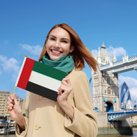 Drapeau à agiter des Émirats arabes unis en gros, 14x21cm, en polyester, mini bannière sur bâton pour la Fête nationale des EAU, pour célébrations