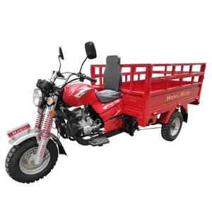 Moto à trois roues de 150cc d'oman, tricycle à essence pour handicapés