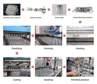 Huisdier Plastic Vier Station Vacuümvormen Thermovormen Machine Voor Ei Lade Met Fabriek Prijs In China