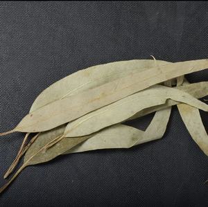 KAIYANGE VENTE EN GROS en vrac OEM Thé vert <span class=keywords><strong>d</strong></span>'<span class=keywords><strong>eucalyptus</strong></span> séché chinois <span class=keywords><strong>Feuilles</strong></span> mobiles Boîtes <span class=keywords><strong>de</strong></span> sachets à base <span class=keywords><strong>de</strong></span> plantes Tasses Traitement brut naturel - Product Image 4