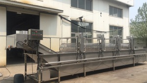 Thương mại Hạt Giống Nảy mầm máy tự động đậu nảy mầm Máy đậu tương và đậu xanh đậu nảy mầm sản phẩm máy móc chế biến - Product Image 3