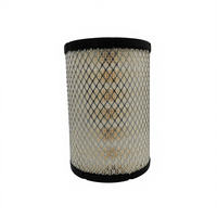 Filtre à air K1726PU K1726 CN3-9601-AA compatible avec JMC Kaiyun, JMC Kairui N800 ; Élément de filtre à air pour N720