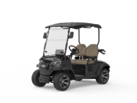 Voiturette de golf électrique 2 places avec batterie au lithium, personnalisable en couleur et logo, nouvelle arrivée, pour parcours de golf et complexe hôtelier