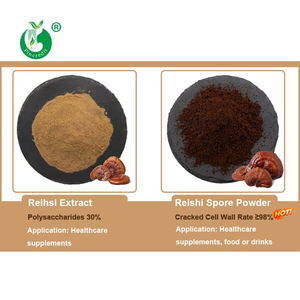 Прямая Продажа с фабрики, порошок Ganoderma Lucidum, органический экстракт грибов рейши - Product Image 2