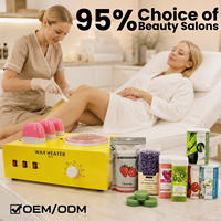 Chauffe-cire 3-en-1 200W, pot de 500ml, 3 cartouches de 100ml, interrupteur indépendant, contrôle de la température, pour épilation en salon, OEM ODM