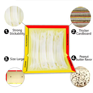 Trappole Adesive per Topi Usa e Getta con Etichetta Privata, Controllo Non Tossico per Roditori in Casa e Giardino - Product Image 5