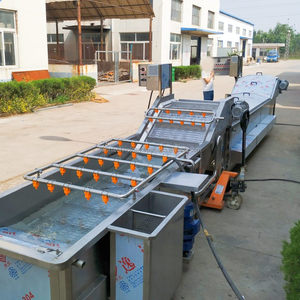 เครื่องล้างผลไม้ขนาดเล็กเครื่องล้างผลไม้ขนาดเล็กระบบโอโซนถังคู่ทำจากสเตนเลสสตีล304 - Product Image 4