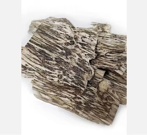 Los troncos de madera de agar árabe no tienen olor y contienen muchos componentes de aceite, astillas de madera de agar, astillas de madera de agar - Product Image 2