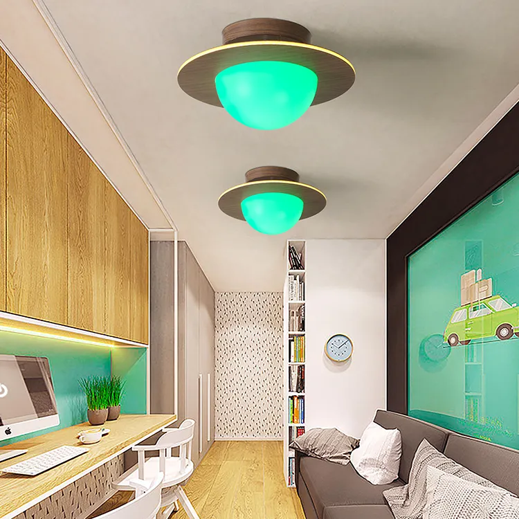 Hot Sale Simple Style Wohnzimmer Dekoration Eisen Smart Lighting Dimmen Moderne LED Hotel Lobby Decken leuchte