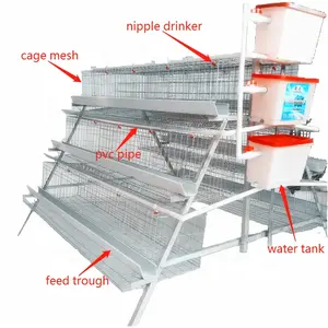 QIANQIN Hühnerküchenfabrik 120 160 Vögel Schicht Geflügelkäfig in Kenia Nigeria Simbabwe