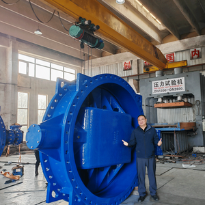 Brida Doble Excéntrica de Hierro Dúctil WRAS SO-1 de Gran Tamaño 16DN800, Fabricada en China - Product Image 3