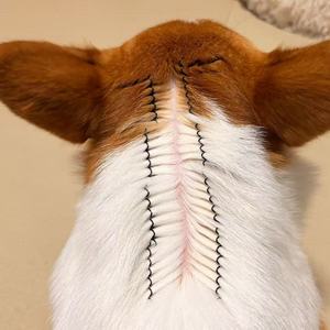 Pinzas para pulgas y garrapatas para gatos y perros, herramienta de aseo para mascotas para asegurar el pelo - Product Image 4