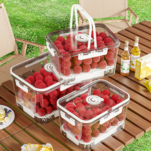 Lot de 3 Contenants de Rangement pour Réfrigérateur, Boîtes de Conservation pour Fruits et <span class=keywords><strong>Légumes</strong></span>, Bacs de Rangement Alimentaire pour Activités Extérieures - Product Image 1