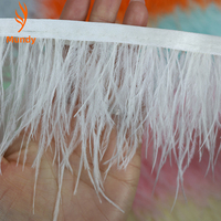 Bordure en plumes d'autruche douces pour la haute couture, le carnaval, la décoration de mariage, Halloween et les projets de bricolage faits main