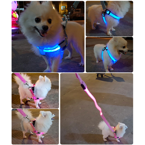 <span class=keywords><strong>Harnais</strong></span> pour animaux de compagnie <span class=keywords><strong>Harnais</strong></span> pour chien LED <span class=keywords><strong>Harnais</strong></span> pour chat en nylon Sécurité de nuit Gilet pour animaux de compagnie lumineux réglable Gilet pour chien Produits pour chiens - Product Image 4