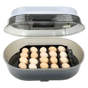 Tuoyun Fabriek Directe Verkoop Mini Incubators Voor Eieren Handmatige Thuisgebruik Incubator Ei Broedmachine Thuisgebruik