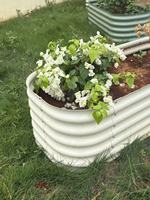 Bac à plantes surélevé moderne en acier inoxydable ondulé modulaire, durable, avec revêtement en poudre, écologique, grand modèle 80 cm
