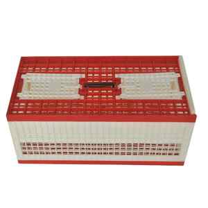 Draagbare opvouwbare <span class=keywords><strong>plastic</strong></span> milieuvriendelijke duivenvervoerkooi, vogelbenodigdheden voor buitenrennen, nesten en volière, gemaakt in China Tim - Product Image 5