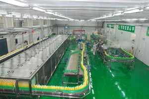 Venta directa Máquina de llenado de botellas de bebidas de <span class=keywords><strong>mango</strong></span> automática completa Línea de producción de llenado en caliente de jugo de fruta - Product Image 2